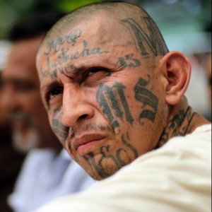 The Most Wanted MS-13 Gangsters the Feds Want Behind Bars