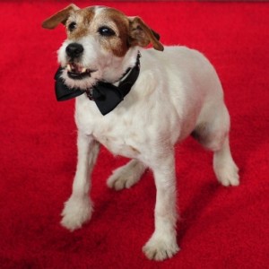 Nintendo Chooses New Canine Spokesperson