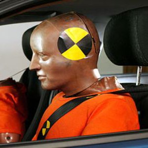 This Is What a Car Crash-Proof Human Would Look Like