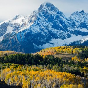 Best Fall Foliage Train Rides in the U.S.