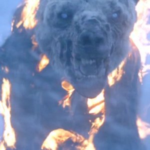 How 'Game of Thrones' Created That Terrifying Undead Polar Bear