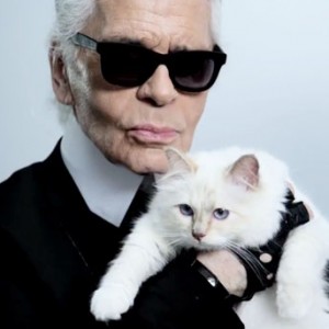 Karl Lagerfeld's Cat Nabs Modeling Contract