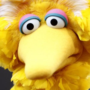 The Crazy Untold Truth of 'Sesame Street'