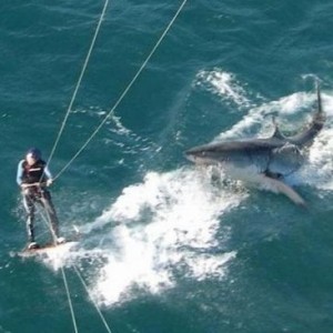 Photos With Perfect Timing