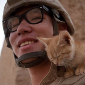 Cats Welcome Home Soldiers Too