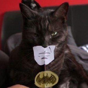 Top 10 Fake 'Dark Knight Rises' Spoilers