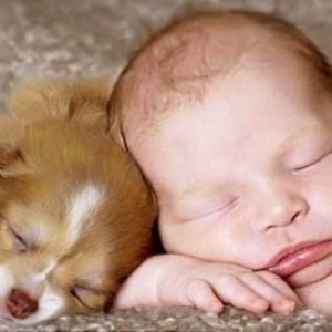 Newborn & Puppy Cuddle In Adorable Moment