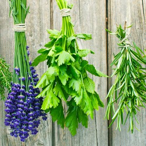 10 Natural Ways to Keep Insects Out of Your Home