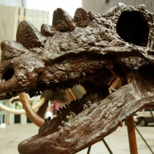 Incredible Dinosaurs You Never Knew Existed - ZergNet