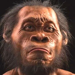 Mysterious Fossils Science Still Can't Fully Explain