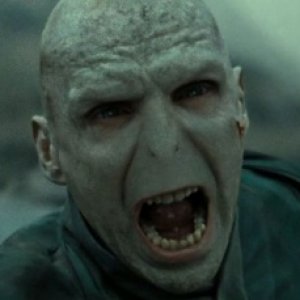 'Harry Potter' Fan Theories That Change Everything