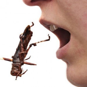 Wood, Bugs, & Other Gross Things You Didn't Know You Were Eating