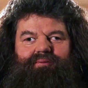 The Real Reason You Don't Hear From Hagrid Anymore
