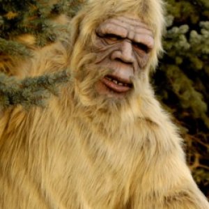 Not Every Cast Member of 'Finding Bigfoot' is a Believer - ZergNet