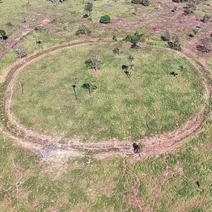 Another Advanced Species May Have Existed on Earth Before Humans