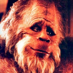 The 'Harry and the Hendersons' Cast Then & Now