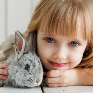 Why Rabbits Hate Being Cuddled & Other Bunny Facts
