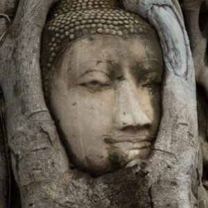 The Weirdest Places Man-Made Objects Have Turned Up