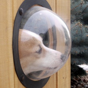 13 Genius Inventions Made To Help Animals