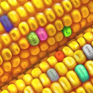 The Real Truth About Eating GMO Foods