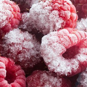Why You Should Never Ever Eat Anything With Freezer Burn