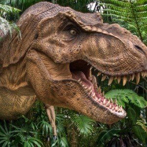 places to see dinosaurs near me