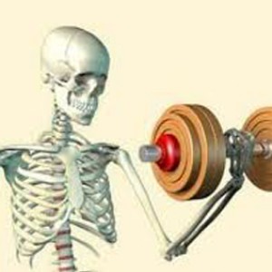 Is Exercise Weakening Your Bones?
