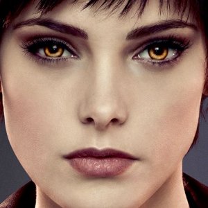 Stars Who Haven't Figured Out They Aren't Famous Anymore - ZergNet