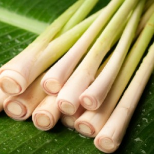 Learn to Use Lemongrass in Your Cooking