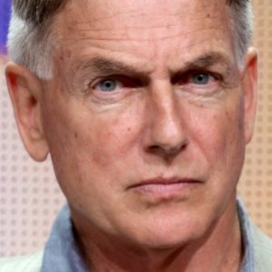 The Truth About Mark Harmon Is Out in the Open Now - ZergNet