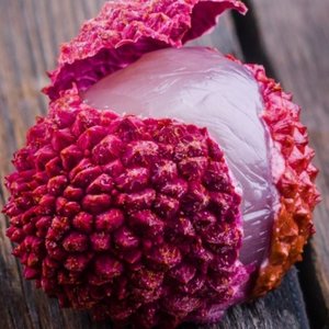 Factors Affecting Weight Loss on 600 Calories a Day