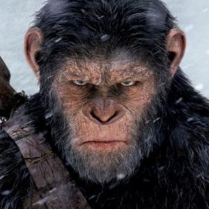 war of the planet of the apes where did they end up