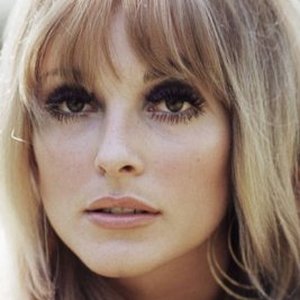 The Untold Truth Of The Life And Tragic Death Of Sharon Tate - ZergNet