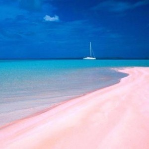 10 Most Wonderful Pink Beaches In The World