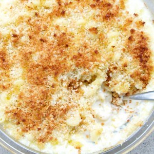 Mac n Goat Cheese Is Incredibly Delicious - ZergNet