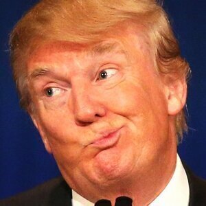 Now We Know Donald Trump's True Net Worth & It's Surprising