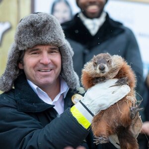 Canada's Groundhog Day Turns Tragic After Fred Dies - ZergNet