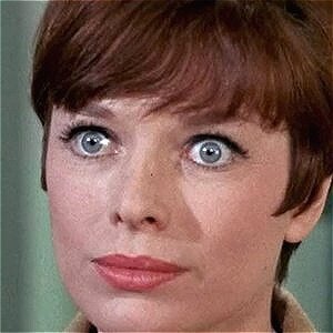 Here's Where The Cast Of The Andy Griffith Show Wound Up