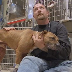This Pitbull Rescued From Dogfighting Just Wants To Be Held
