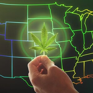 The Controversial History Of Marijuana Legalization - ZergNet