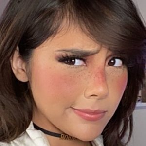Twitch Streamers Who Are Stunning Without Makeup - ZergNet