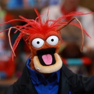 10 Stars With Muppet Look-Alikes