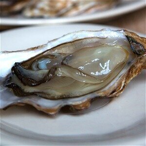 The Secrets To Perfect Oysters With Expert Tips