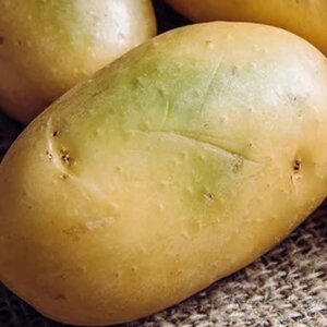Stop Eating Your Potatoes If You See Any Of These Signs