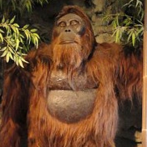 How the Real King Kong Actually Became Extinct