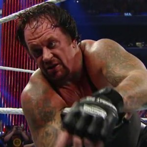 Undertaker Collapses After Brock Lesner SummerSlam Match