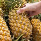 How To Pick A Pineapple That's Ripe, Sweet, & Ready To Eat