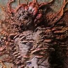 The Last Of Us' Horrifying Fungus Is Truly Terrifying