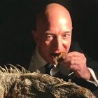 You Likely Couldn't Handle Jeff Bezos' Daily Diet