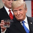 Trump's Favorite Drink Left Us Lost For Words